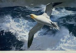 ‡ KEITH SHACKLETON (British, 1923-2015) limited edition (185/650) colour print - gannet, signed