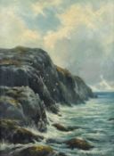 HENRY HADFIELD CUBLEY (British, 1858-1934) oil on canvas - coastal cliffs with seabirds, signed