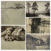 GEORGE EDWARD COLLINS (1880-1968) etching - young flycatchers, signed in pencil, provenance with