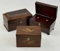 THREE EARLY 19TH CENTURY MAHOGANY TEA CADDIES, rectangular inlaid with conch shells, 12 (h) x 9 (
