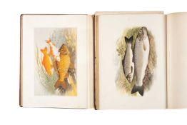 HOUGHTON (REV. WILLIAM) British Fresh-Water Fishes. 2 vols, London: William MacKenzie, folio 1879,