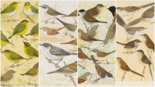 ‡ KEVIN BAKER watercolour & gouache (set of four) - Warblers of Europe, Asia and North Africa, all
