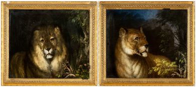 CIRCUS CLUB HOUSE: PAIR OF REVERSE GLASS PAINTED PICTURES OF LION & LIONESS, c. 1900, thought to