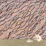 EVELYN WILLIAMS (1929-2012) oil on canvas - entitled verso, 'Early One Morning', signed and dated