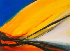 ‡ NEIL CANNING (b.1960) mixed media on paper - entitled verso, 'Fierce Velocity' on Martin Tinney