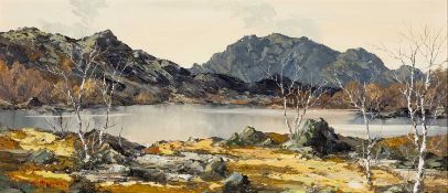 ‡ CHARLES WYATT WARREN (1908-1993) oil on board - entitled verso, 'Llyn-y-Gadair', signed, dated