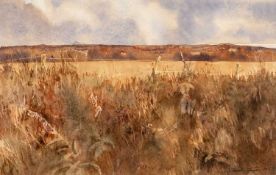 ‡ DAVID TRESS (b.1955) watercolour - entitled verso, 'Bright Sea, Near Croesgoch', signed and