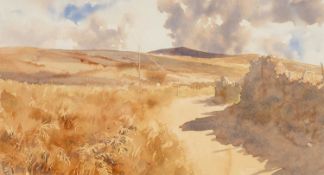 ‡ DAVID TRESS (b.1955) watercolour - entitled verso, 'Lane behind Newport', signed and dated '83, 25