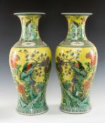PAIR OF CHINESE YELLOW GROUND FAMILLE VERTE BALUSTER VASES, decorated with exotic birds on flowering