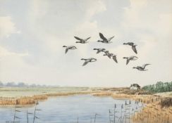 ‡ JOHN SHEPPERD (20th Century) watercolour - Geese in Flight, flock over marshland, signed, 25 x