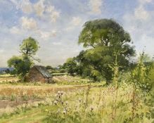 ‡ JOHN LINES RBSA RSMA (b.1938) oil on canvas - Hawkweed Hedgerow, signed, 44 x 55cms Provenance:
