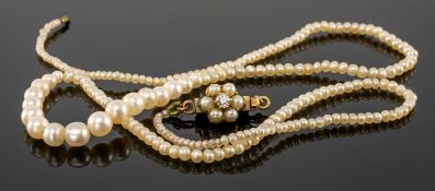 FINE UNTESTED PEARL CHOKER NECKLACE, largest pearl approx. 4mms (diam.), the pearl clasp centred