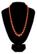 GOOD GRADUATED CORAL BEAD NECKLACE, the coral-set 18K gold clasp stamped '750', beads from 13.4 to