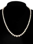 OPAL BEADED CHOKER NECKLACE, largest bead 7mms (diam.), with faceted clear glass spacers, 45cms (l),