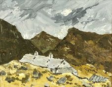 ‡ 20TH CENTURY WELSH SCHOOL oil on board - entitled verso 'Cottage Cilgwyn Dyffryn Nantlle',
