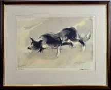 ‡ WILLIAM SELWYN (Welsh, b. 1933) limited edition (219/500) print - working sheepdog, signed and
