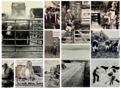 ‡ COLIN SHAW (British, 20th century) group of black and white photographs - farming life, five 37.
