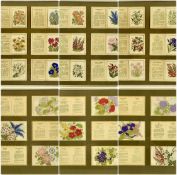 COLLECTION OF 27 KENSITAS CIGARETTES FLORAL SILK SILKS, medium and large sizes, contained in six