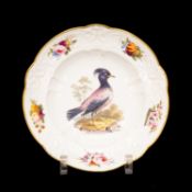 RARE SWANSEA PORCELAIN DISH circa 1814-1826, centre painted with an exotic bird in the London