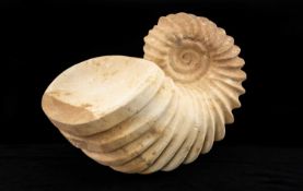 DARREN YEADON (b. 1970) sandstone - Ammonite, signed, 28cms (h) Provenance: direct from the artist's