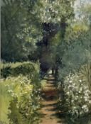 AINLEY (British 20th Century) watercolour - woodland path in summer, signed lower right, 36 x
