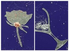 TWO CONTEMPORARY MIRROR PICTURES - flower and wine glass, signed 'Kerry', 96cms² Provenance: private