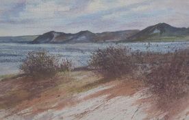 DAVID BOWER (b. 1952) watercolour on heavy Arches Aquarelle - 'Bracken and Blackthorn', unsigned, 80