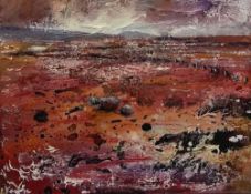 PETER KETTLE (b. 1987) oil on canvas - untitled red landscape, signed, 21 x 29cms Comments: framed