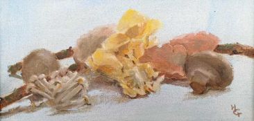 HAN GUO oil on canvas - 'Mushrooms', signed, 15 x 30cms Comments: framed