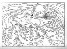 COLIN SEE-PAYNTON (b. 1946) graphite on paper - 'Mute Swan Preening II', signed, 25 x 36cms