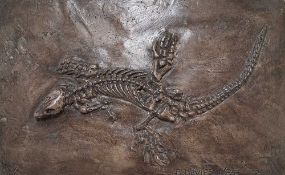 BARRY DAVIES herculite - 'Oribates Didectidae', signed and dated 2019, 19 x 31 x 2cms