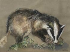 JOYCE KING pastel - 'Badger', signed, 35 x 51cms Comments: framed