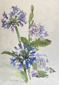 ISHBEL MCWHIRTER (b. 1927) limited edition (33/500) digital print - 'Agapanthus', signed, 39 x 27cms