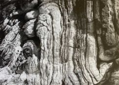 JOHN HEDLEY (b. 1953) solar plate (4/40) - 'South Crete, Folding Rocks', signed, 28 x 38cms