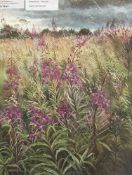 MEG STEVENS (1931-2012) limited edition (445/500) digital print - 'Willowherb', signed, 35 x 26cms