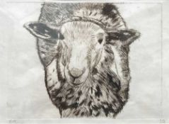 ELLEN CARNEGIE-WUSTER limited edition (1/2) drypoint - 'Sheep', signed, 10 x 15cms Comments: framed