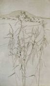 IOLA SPAFFORD (b. 1930) limited edition (34/75) etching - 'Bamboo, Gozo', signed, 45 x 27cms