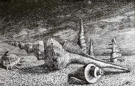 ALAN PALMER pen and ink - 'Shellscape I', signed, 30 x 38cms Comments: framed