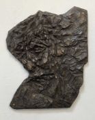 DIANE LAWRENSON (b. 1946) resin 3D - 'Rock Face', signed, 42 x 34cms Provenance: donated Comments: