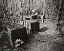 OSCAR VAN HEEK photograph - 'Multiverse 2', signed, 39 x 50cms Comments: framed