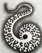 ALAN PALMER pen and ink - 'Arabesque', signed, 31 x 36cms Comments: framed