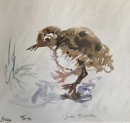 ISHBEL MCWHIRTER (b. 1927) limited edition (145/500) digital print - 'Baby Tern', signed, 22 x 22cms