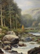 ‡ FREDERICK THOMAS SIBLEY (active 1882-1903) oil on canvas - mountainous river with trees and