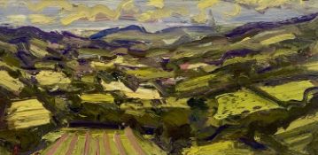 ‡ DAVID LLOYD GRIFFITH (b. 1959) oil on board - entitled verso 'Spring Fields, Dyffryn Dulas',