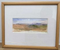 DR FIONA RAWLINSON watercolour - entitled 'Autumn Light, Brecon Beacons', signed, 7 x 17cms