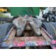 1989 Mack R688ST T/A Road Tractor Sleeper Cab (Rockville, VA) - Image 14 of 32