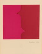 Ohne Titel (Pink und Rot)