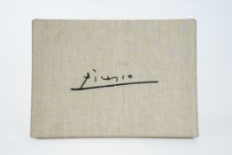 Vollard Suite (Suite Vollard)