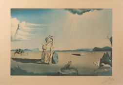 Les bêtes sauvages dans le désert