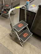 LITTLE GIANT STEP LADDER